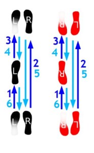discofox_grundschritt